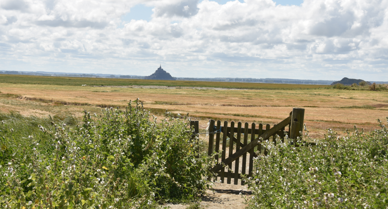 GR223 avec vue sur les champs et le Mont-Saint-Michel