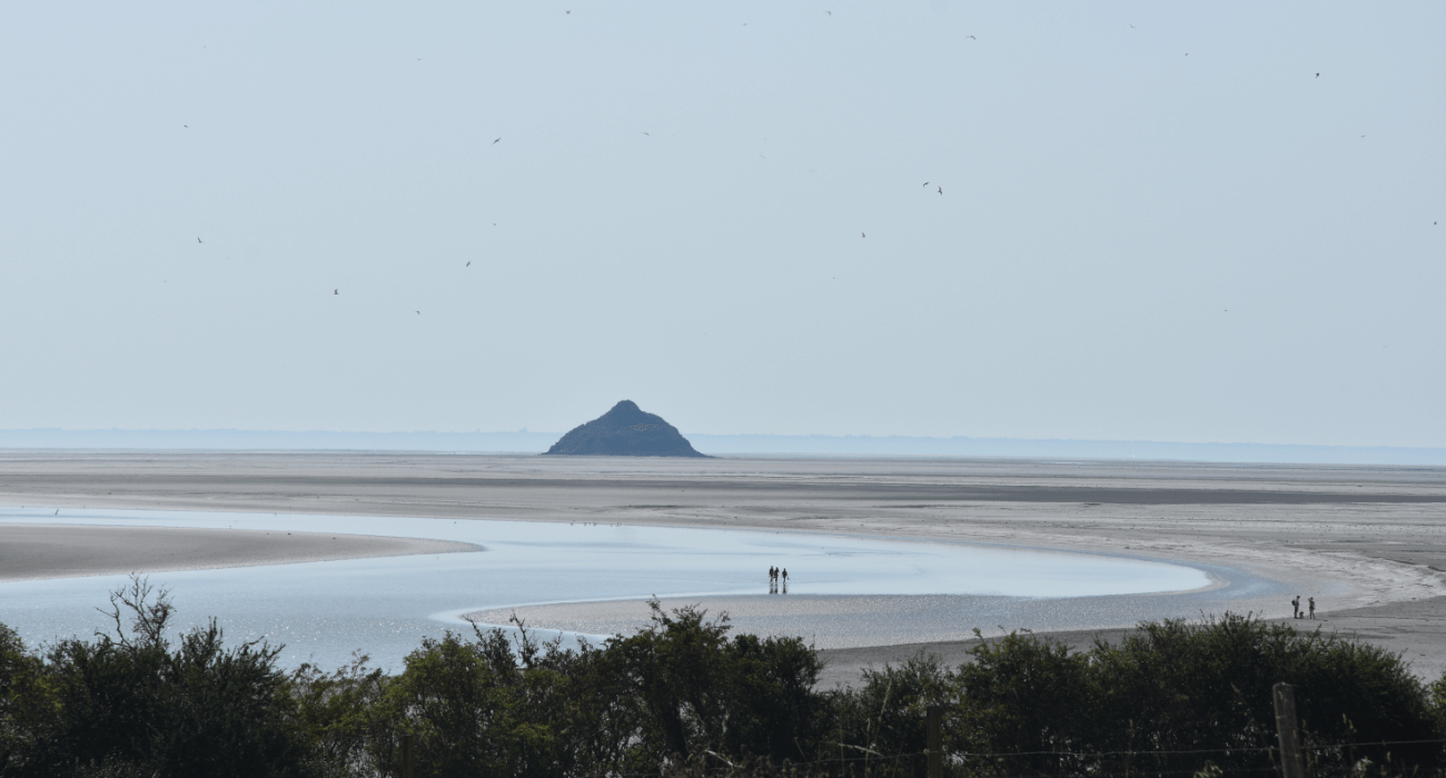 L'île de Tomblaine à marée basse