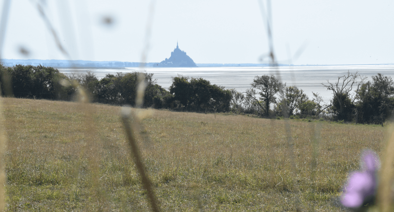 Vue sur le Mont-St-Michel depuis le GR223