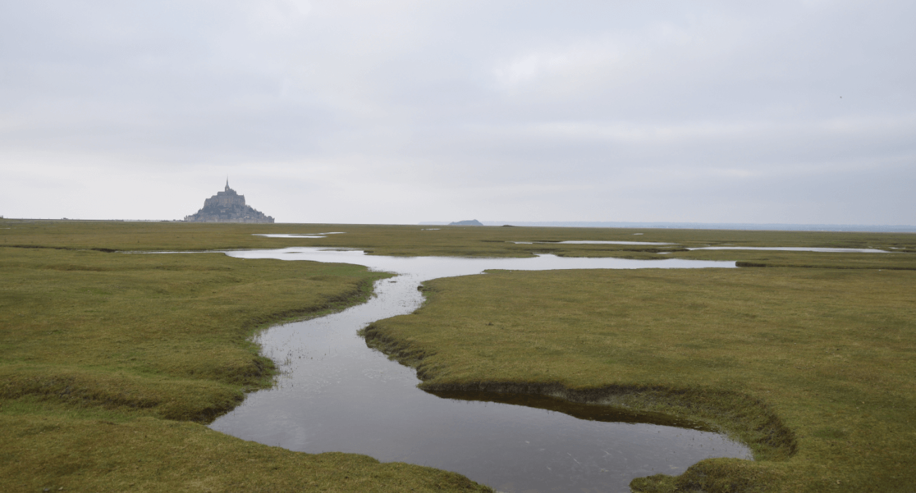 Plan d'eau avec en fond le Mont St Michel
