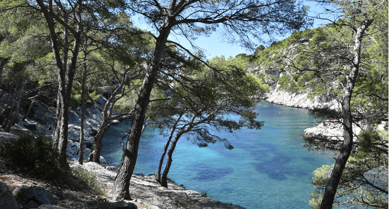 Calanque de Port-Pin à Cassis