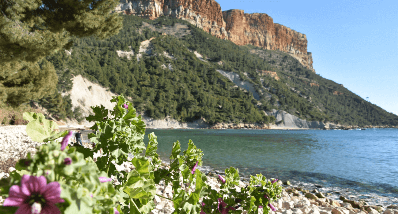 Grande plage de Cassis avec