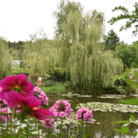 L'étang du jardin de Giverny