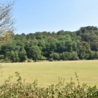 Champs de Normandie
