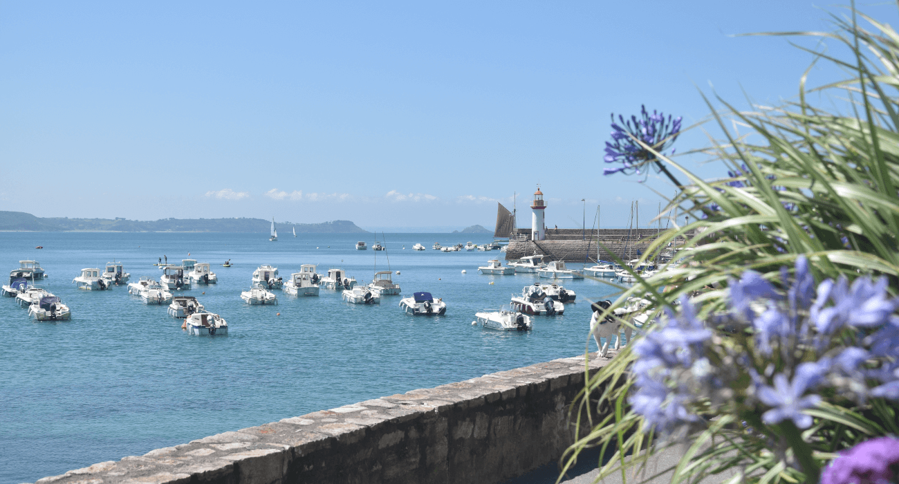 Bateaux dans le port Erquy