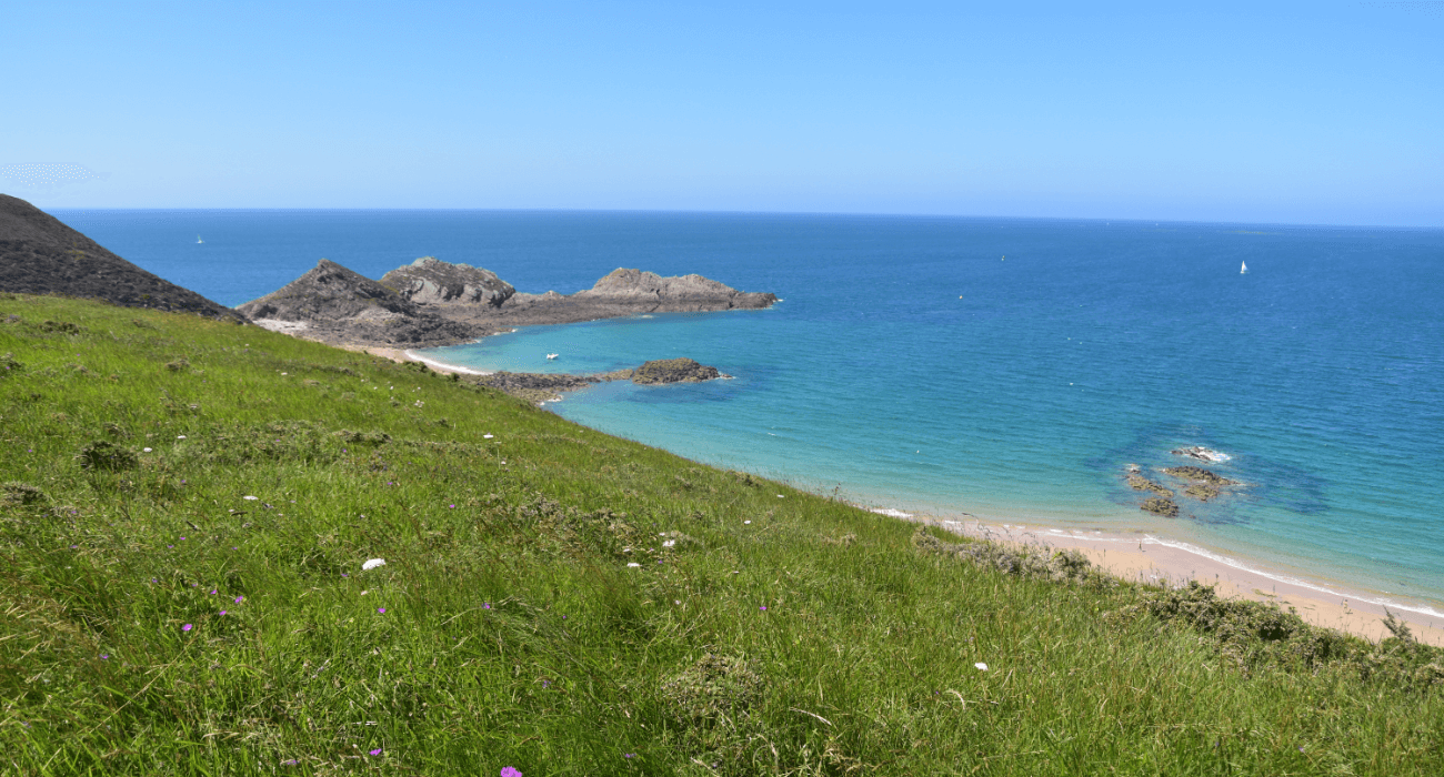 Plage et verdure à Erquy