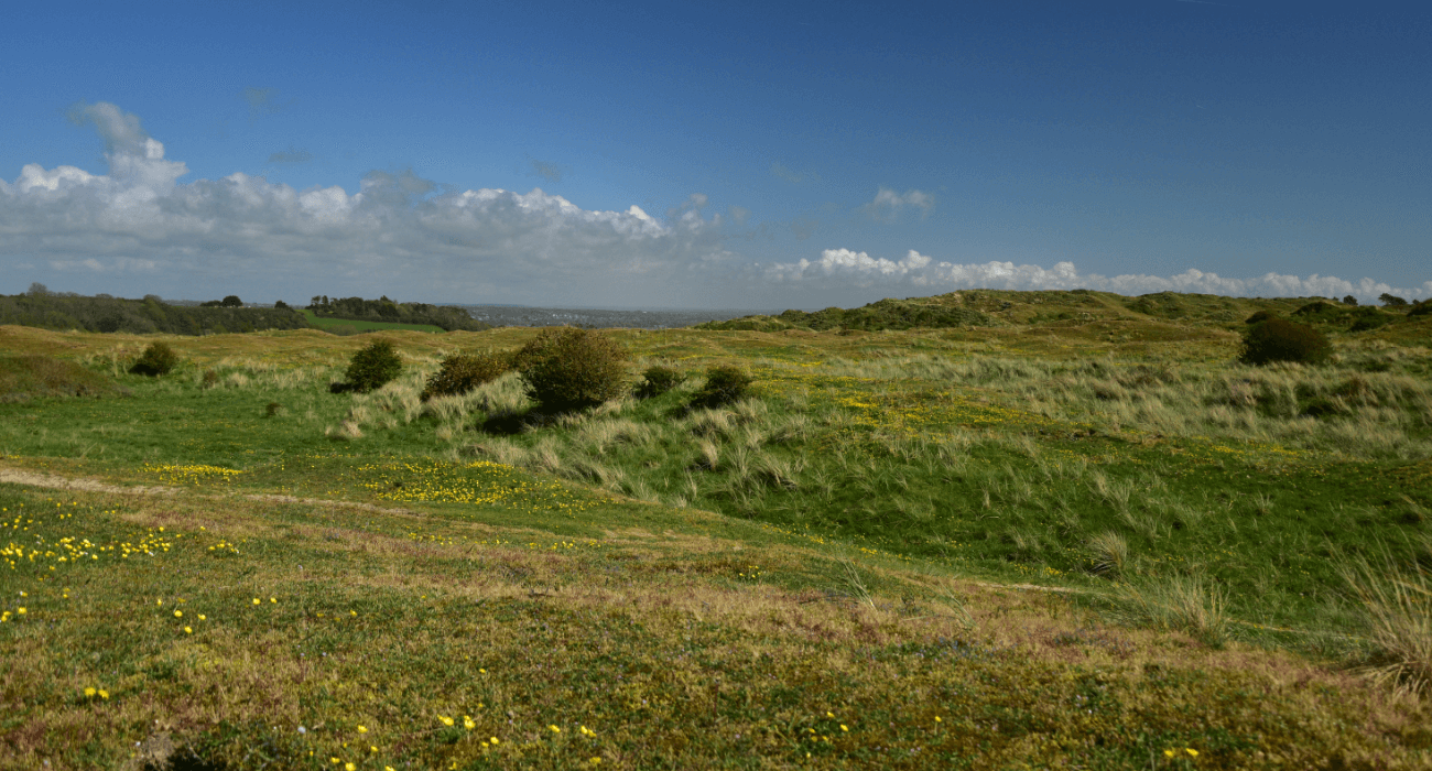 Paysages dans les dunes de Barneville-Carteret