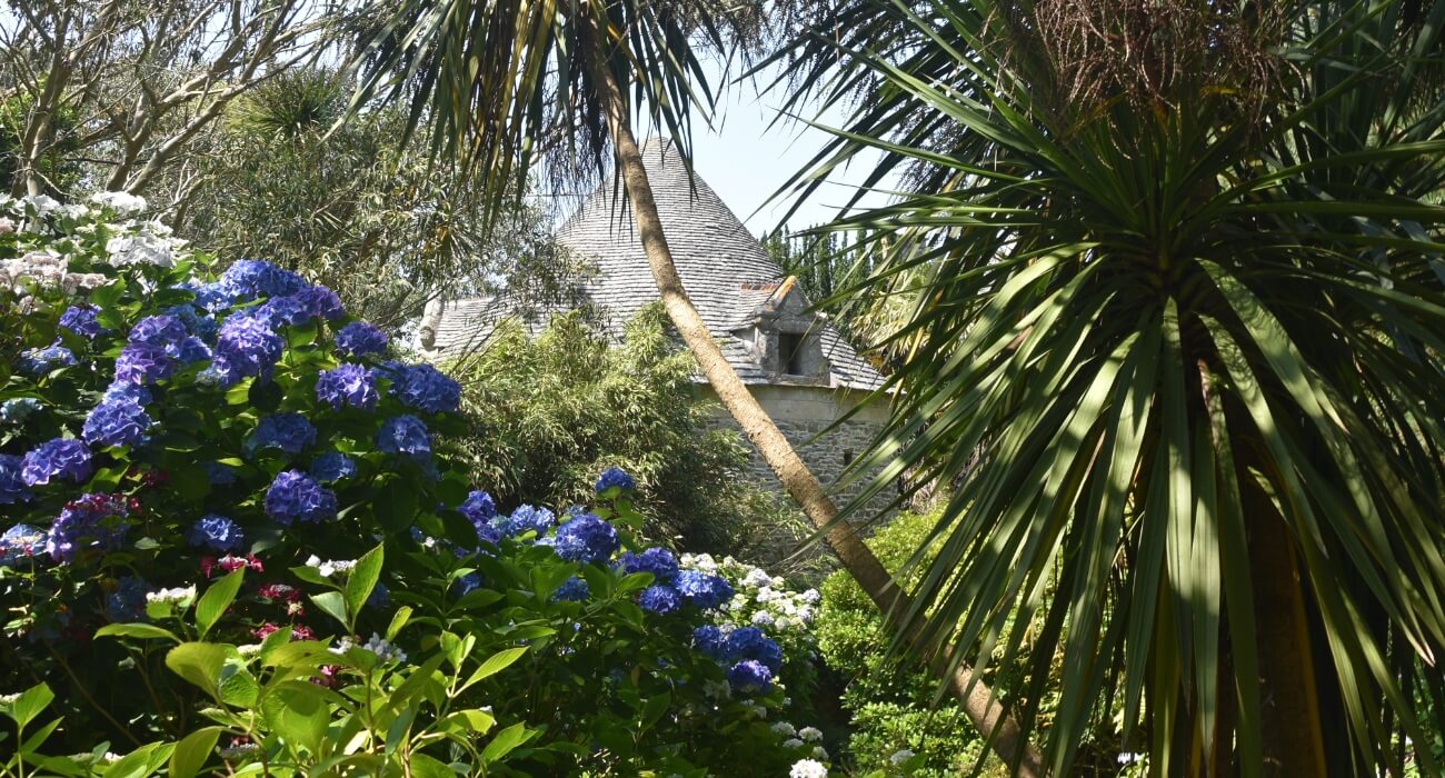 Hortensias et bâtiment du jardin de Vauville