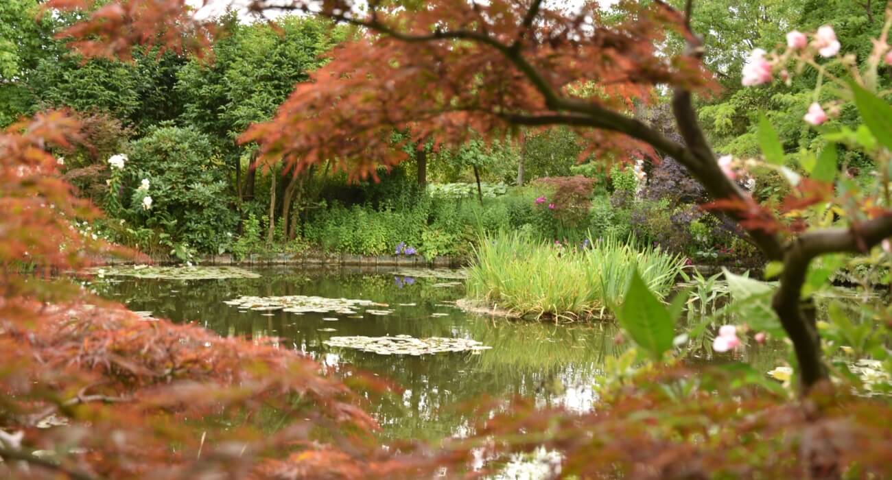 Fleurs et étang du jardin de Claude Monet en Normandie