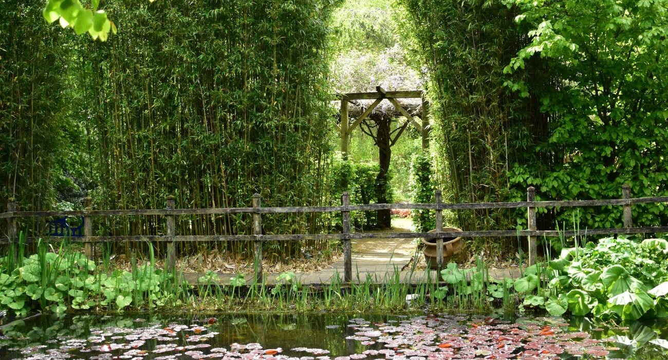 Petit plan d'eau du jardin du Pays d'Auge